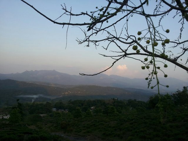 Nature
